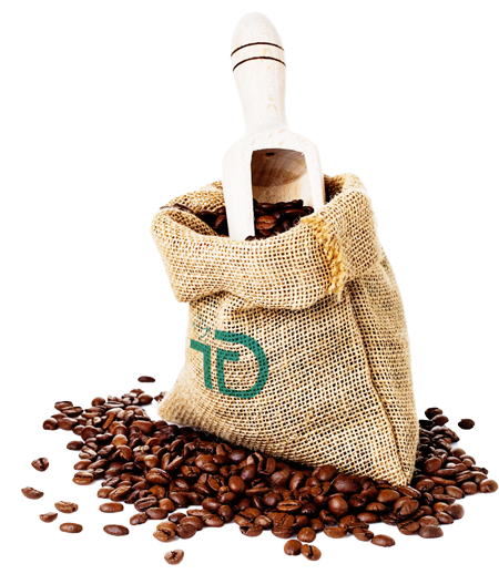 TD Co., Ltd.