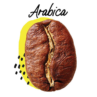 Arabica Coffee Beans